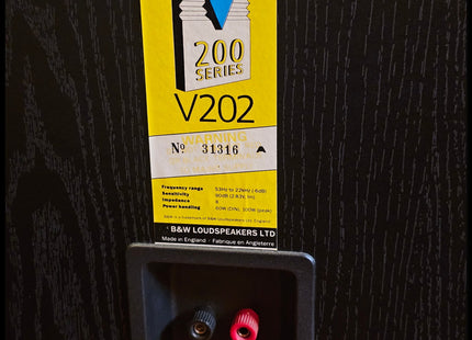 B&W V202 Vision