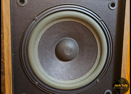 Bose 301 series II