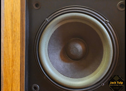 Bose 301 series II
