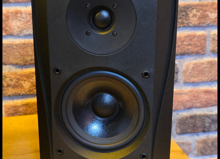 B&W DM-302