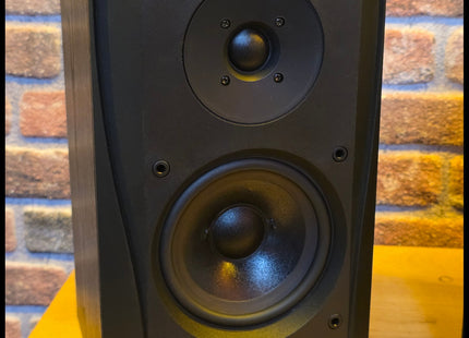 B&W DM-302