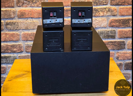 Bose Acoustimass AM-5