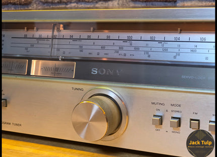 Sony ST-313L