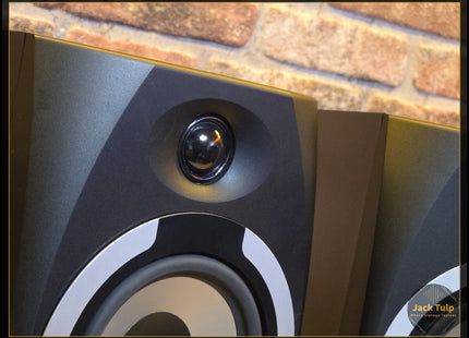 Tannoy Reveal 501a