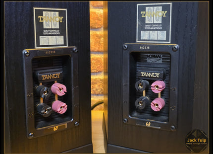 Tannoy Sixes 609