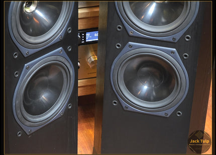Tannoy Sixes 611