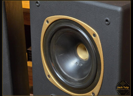 Tannoy DTM-8