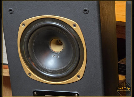 Tannoy DTM-8