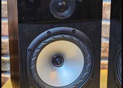 Fyne F301 black ash