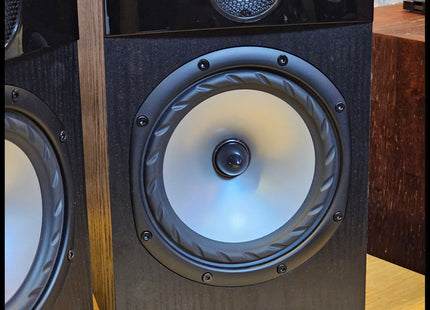 Fyne F301 black ash