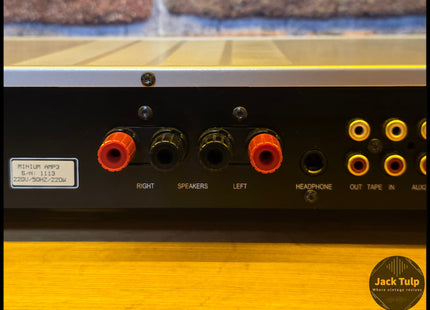 MicroMega Minium AMP