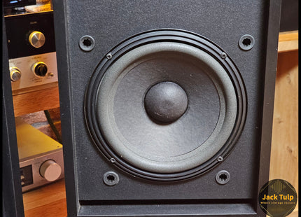 Bose 301 series III