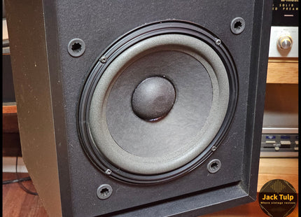 Bose 301 series III