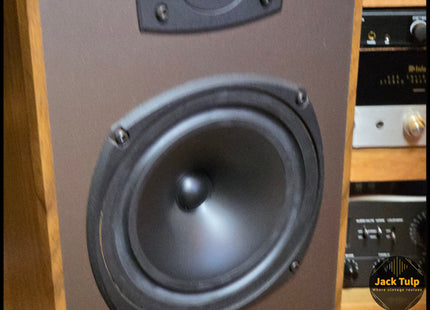 Celestion DL8