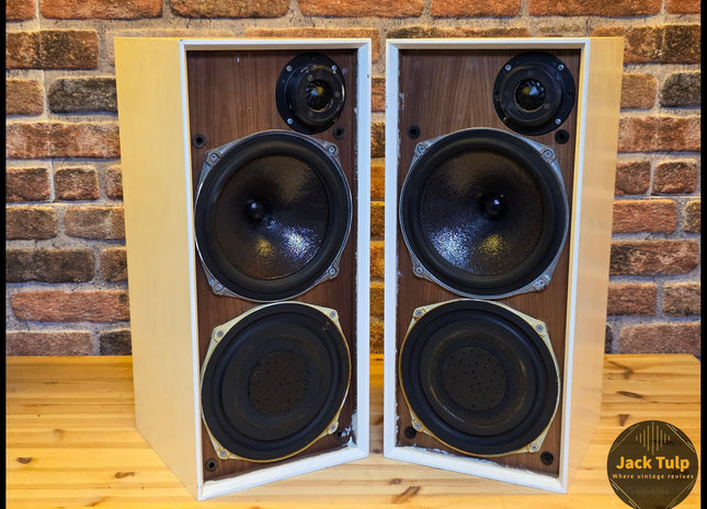 Celestion Ditton 15