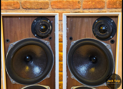 Celestion Ditton 15