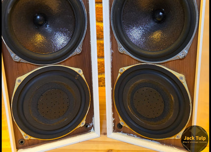 Celestion Ditton 15