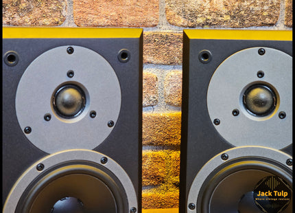 Dynaudio DM 6/2