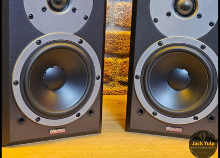 Dynaudio DM 6/2