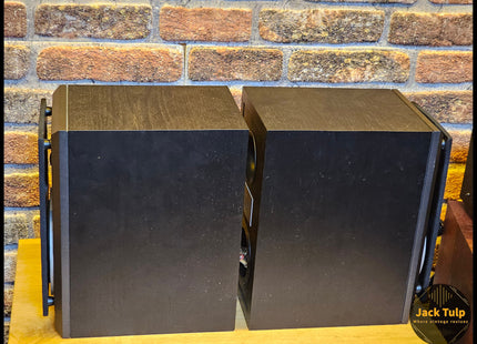 Dynaudio DM 6/2