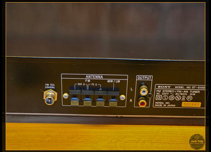 Sony ST-S100L