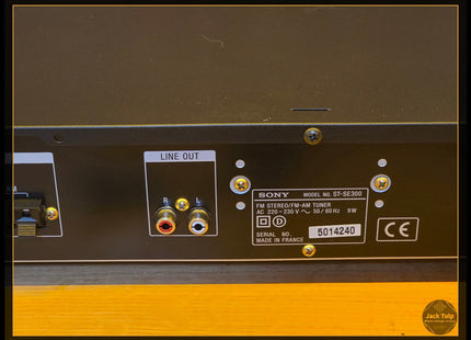 Sony ST-SE300