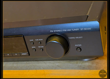 Sony ST-SE300