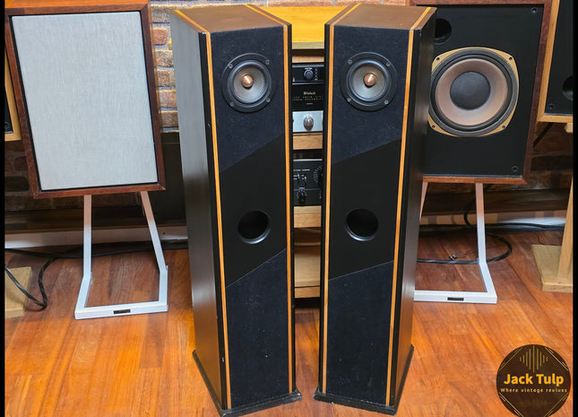 Tangband W3 speakers