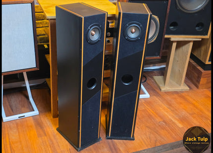 Tangband W3 speakers