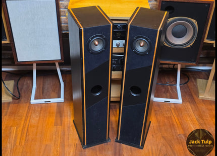Tangband W3 speakers