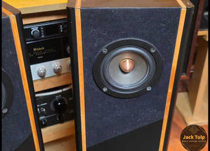 Tangband W3 speakers