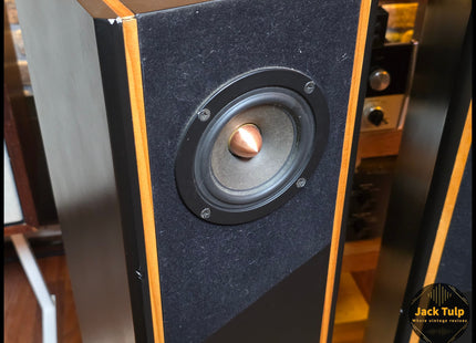 Tangband W3 speakers
