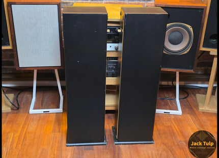 Tangband W3 speakers