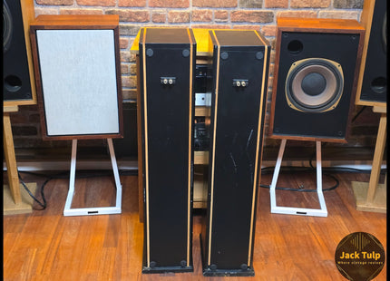 Tangband W3 speakers