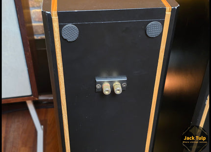 Tangband W3 speakers