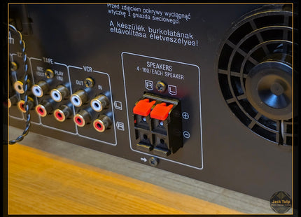 Technics SA-EX100